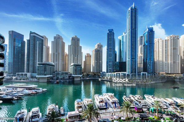 Istockphoto 1392301505 2048X2048